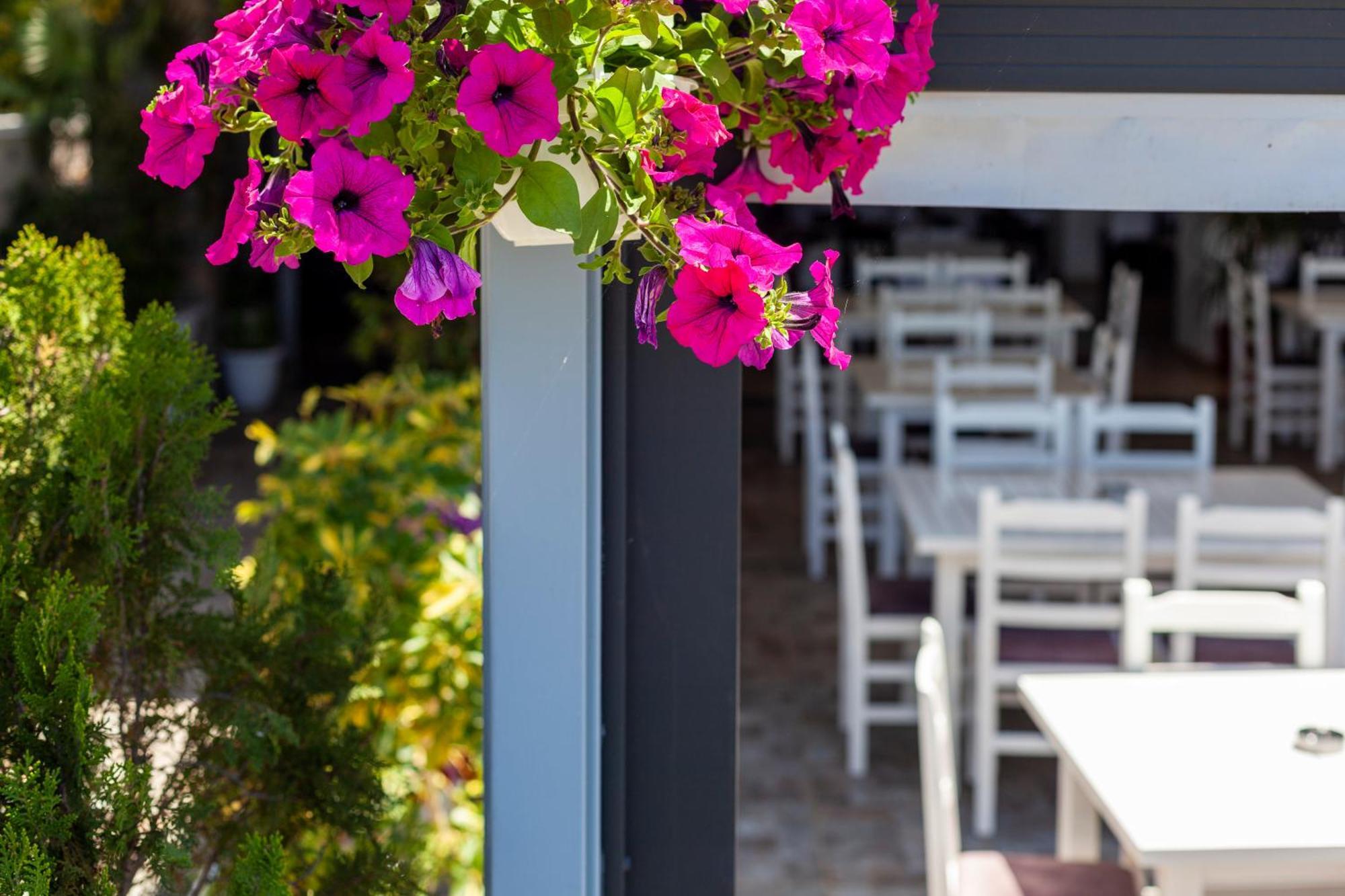 Dhima Hotel Himara Zewnętrze zdjęcie