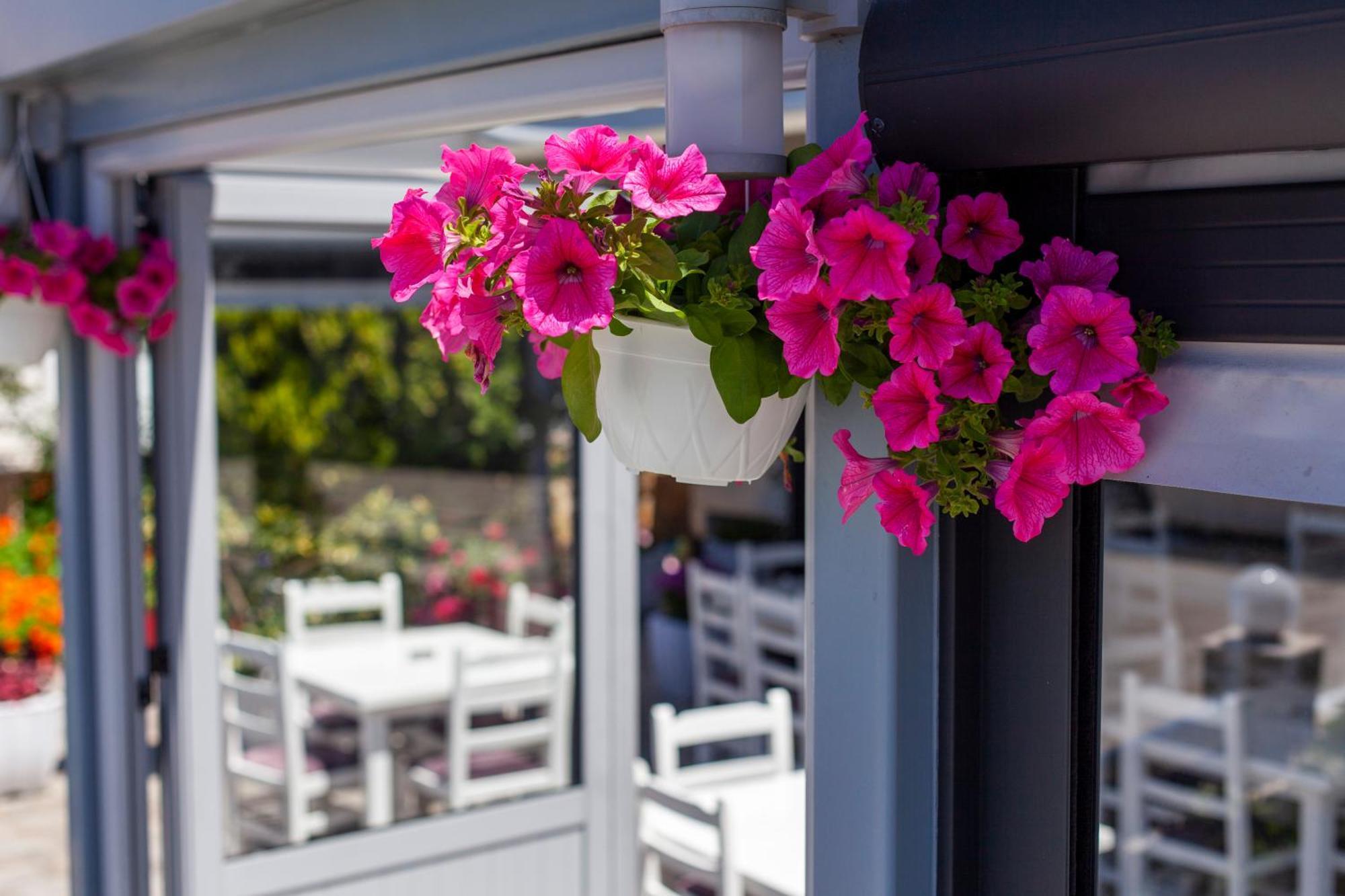 Dhima Hotel Himara Zewnętrze zdjęcie